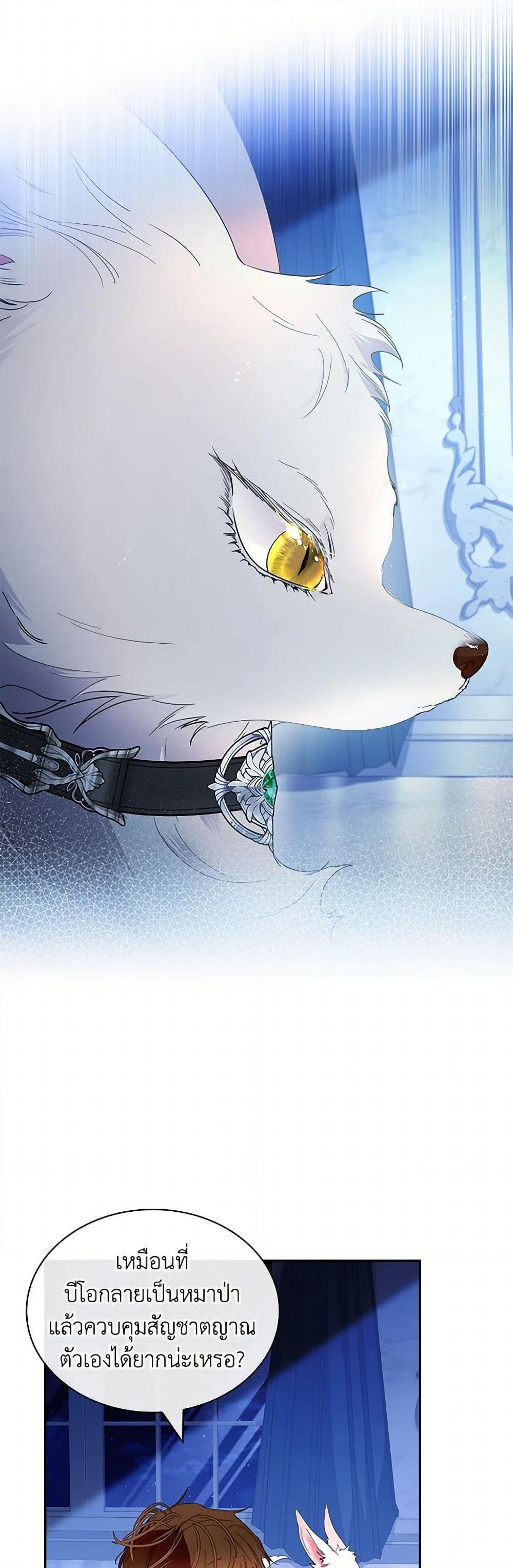 Manga-lc-com อ่านมังงะ อ่านการ์ตูน ออนไลน์ ฟรี I Raised the Nine-Tailed Fox Wrongly ตอนที่ 1 2 3 4 5 6 7 8 9 10 11 12 13 14 ฟรี ไม่มีโฆษณา Manga-lc - อ่าน มังงะ อ่าน การ์ตูน ออนไลน์ อ่านมังงะ ฟรี