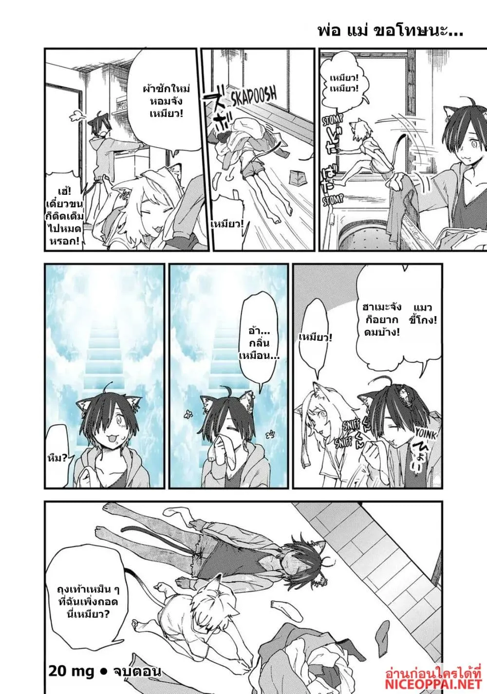 Manga-lc-com อ่านมังงะ อ่านการ์ตูน ออนไลน์ ฟรี Yani Neko ตอนที่ 1 2 3 4 5 6 7 8 9 10 11 12 13 14 ฟรี ไม่มีโฆษณา Manga-lc - อ่าน มังงะ อ่าน การ์ตูน ออนไลน์ อ่านมังงะ ฟรี