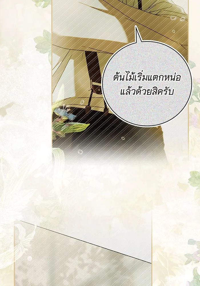 สาว(ลับ)ใช้ของท่านเคานต์ตาบอด ตอนที่ 13 รูปที่ 79