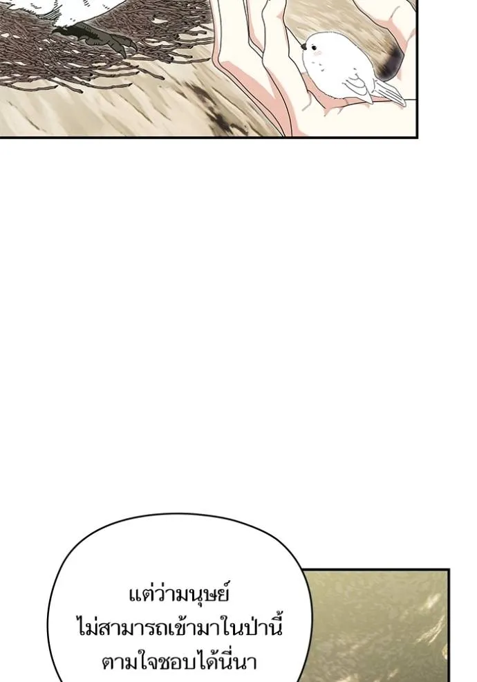 บุตรสาวของดยุกปีศาจ ตอนที่ 181 รูปที่ 58