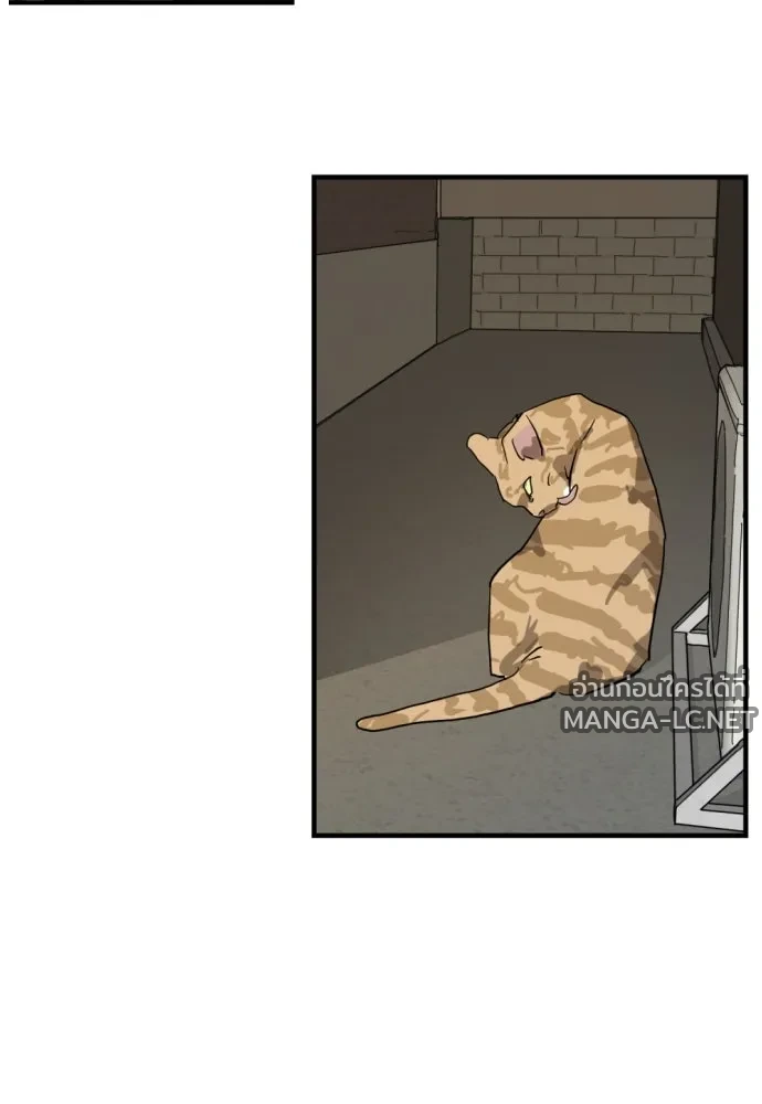 Manga-lc-com อ่านมังงะ อ่านการ์ตูน ออนไลน์ ฟรี วันดีคืนดี โซลก็ ตอนที่ 1 2 3 4 5 6 7 8 9 10 11 12 13 14 ฟรี ไม่มีโฆษณา Manga-lc - อ่าน มังงะ อ่าน การ์ตูน ออนไลน์ อ่านมังงะ ฟรี