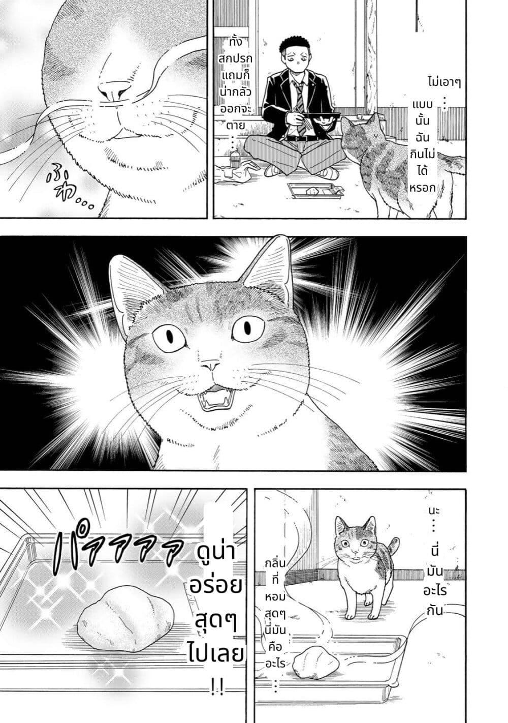 Manga-lc-com อ่านมังงะ อ่านการ์ตูน ออนไลน์ ฟรี Yuzuki Becomes A Cat ตอนที่ 1 2 3 4 5 6 7 8 9 10 11 12 13 14 ฟรี ไม่มีโฆษณา Manga-lc - อ่าน มังงะ อ่าน การ์ตูน ออนไลน์ อ่านมังงะ ฟรี
