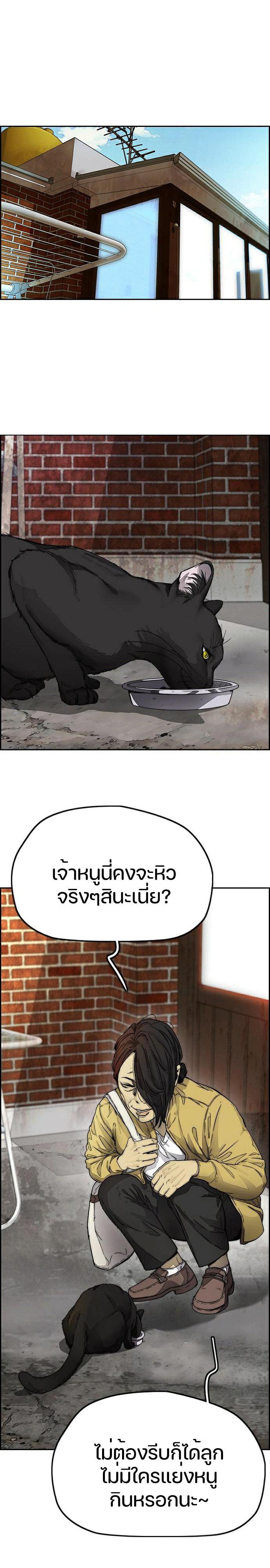 Manga-lc-com อ่านมังงะ อ่านการ์ตูน ออนไลน์ ฟรี Wind Breaker ปั่นสู้ฝัน ตอนที่ 1 2 3 4 5 6 7 8 9 10 11 12 13 14 ฟรี ไม่มีโฆษณา Manga-lc - อ่าน มังงะ อ่าน การ์ตูน ออนไลน์ อ่านมังงะ ฟรี