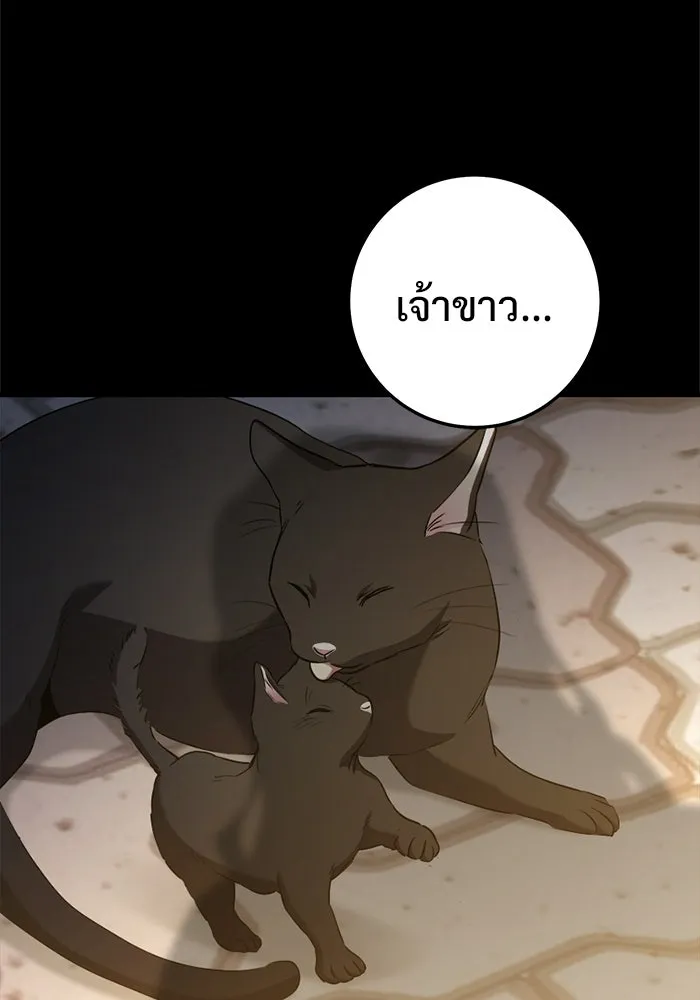 ราชินีนักบู๊ ตอนที่ 94 รูปที่ 236