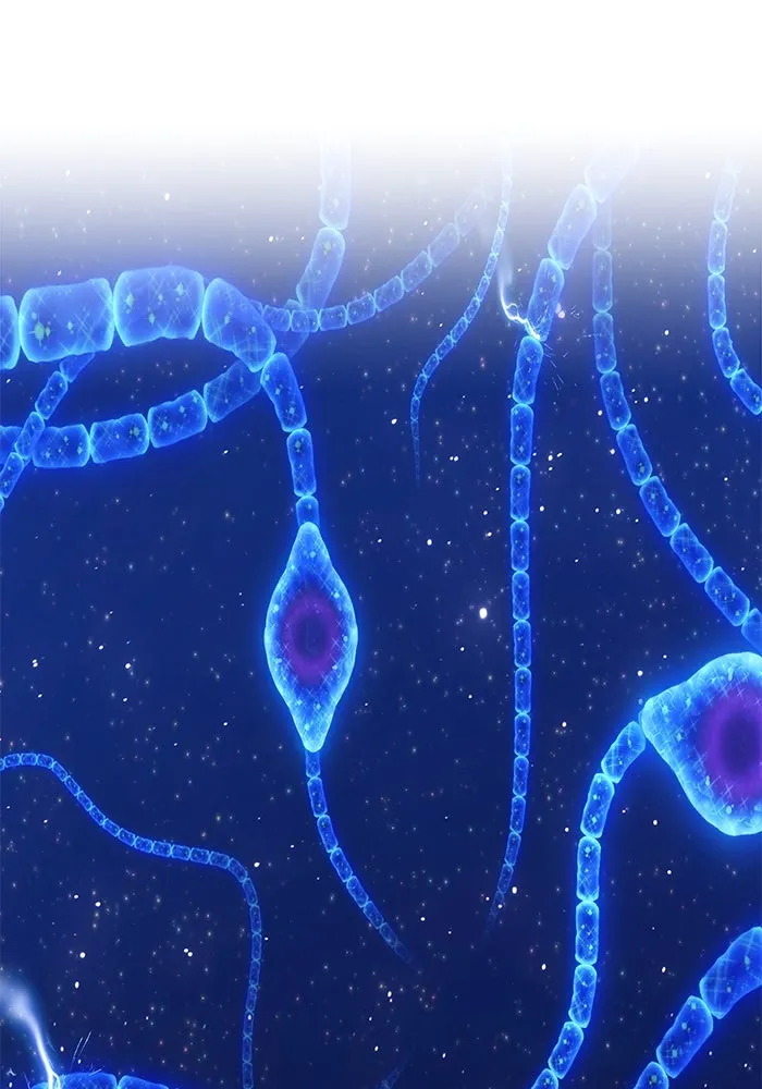 +99 ท่อนไม้พร้อมบวก ตอนที่ 66 รูปที่ 34