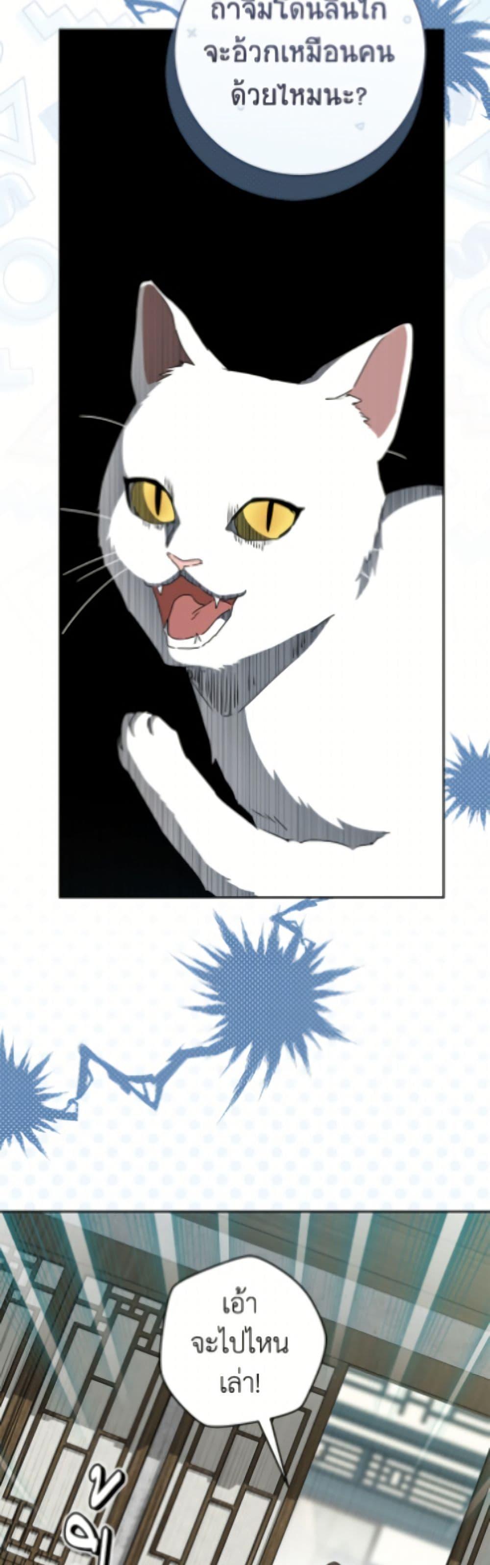 Manga-lc-com อ่านมังงะ อ่านการ์ตูน ออนไลน์ ฟรี I Became the Despised Granddaughter of the Powerful Martial Arts Family ตอนที่ 1 2 3 4 5 6 7 8 9 10 11 12 13 14 ฟรี ไม่มีโฆษณา Manga-lc - อ่าน มังงะ อ่าน การ์ตูน ออนไลน์ อ่านมังงะ ฟรี