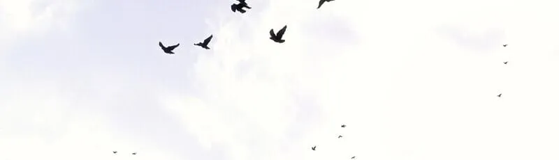 Regressing as the Reincarnated Bastard of the Sword Clan ตอนที่ ตอนที่ 66 รูปที่ 47