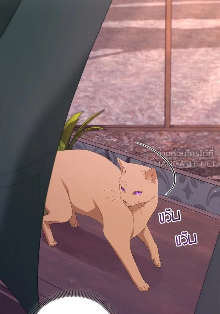 ชีวิตใหม่ในตระกูลมือสังหาร ตอนที่ 59 รูปที่ 9