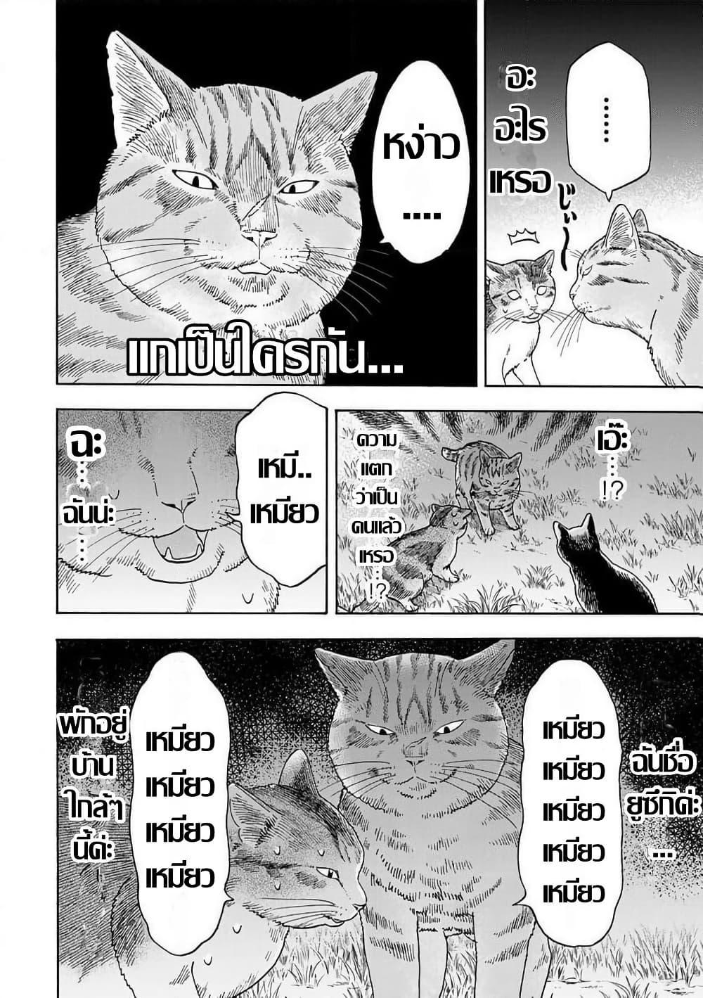 Manga-lc-com อ่านมังงะ อ่านการ์ตูน ออนไลน์ ฟรี Yuzuki Becomes A Cat ตอนที่ 1 2 3 4 5 6 7 8 9 10 11 12 13 14 ฟรี ไม่มีโฆษณา Manga-lc - อ่าน มังงะ อ่าน การ์ตูน ออนไลน์ อ่านมังงะ ฟรี