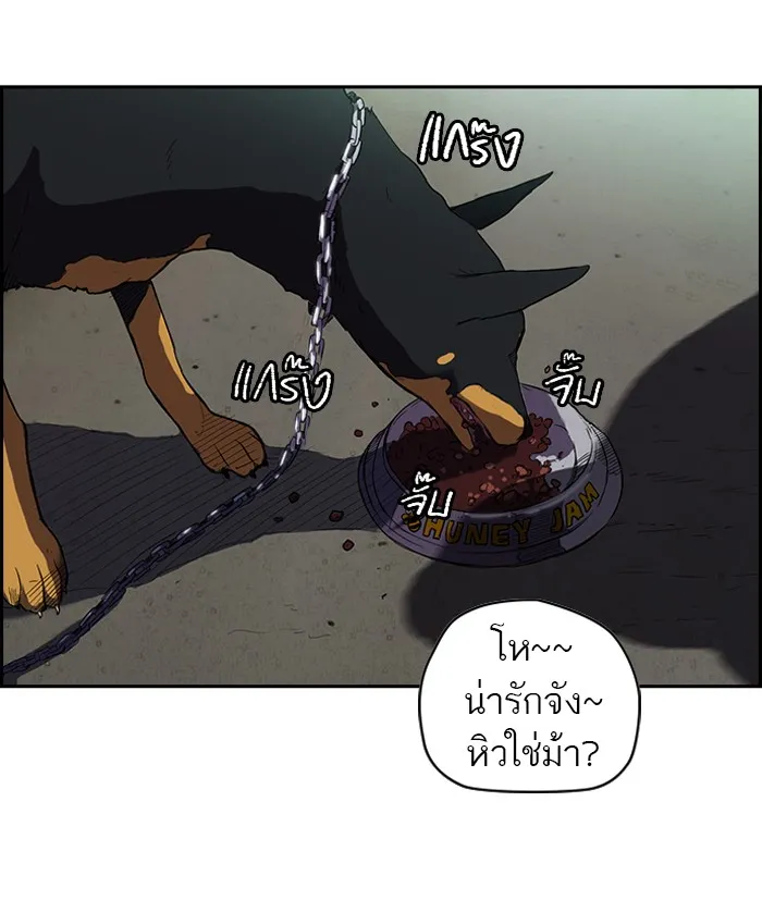 ปั่นสู้ฝันbrWind Breaker ตอนที่ 61 รูปที่ 22