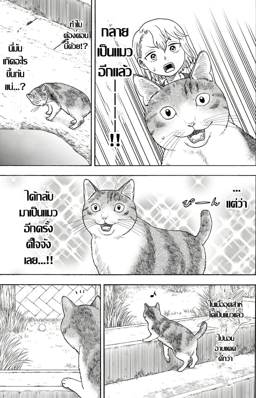 Manga-lc-com อ่านมังงะ อ่านการ์ตูน ออนไลน์ ฟรี Yuzuki Becomes A Cat ตอนที่ 1 2 3 4 5 6 7 8 9 10 11 12 13 14 ฟรี ไม่มีโฆษณา Manga-lc - อ่าน มังงะ อ่าน การ์ตูน ออนไลน์ อ่านมังงะ ฟรี