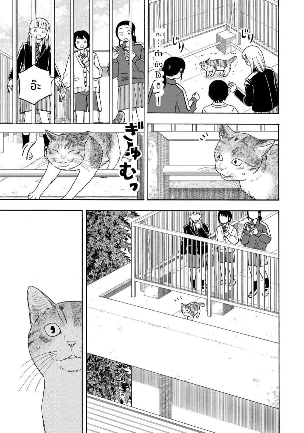 Manga-lc-com อ่านมังงะ อ่านการ์ตูน ออนไลน์ ฟรี Yuzuki Becomes A Cat ตอนที่ 1 2 3 4 5 6 7 8 9 10 11 12 13 14 ฟรี ไม่มีโฆษณา Manga-lc - อ่าน มังงะ อ่าน การ์ตูน ออนไลน์ อ่านมังงะ ฟรี