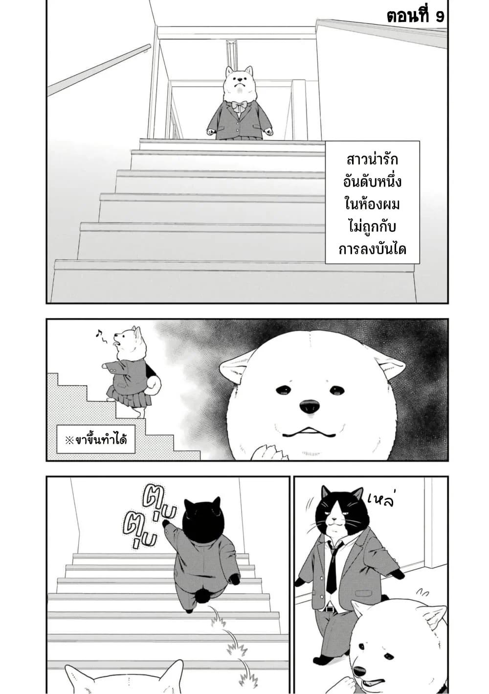 Manga-lc-com อ่านมังงะ อ่านการ์ตูน ออนไลน์ ฟรี Inuta-san ตอนที่ 1 2 3 4 5 6 7 8 9 10 11 12 13 14 ฟรี ไม่มีโฆษณา Manga-lc - อ่าน มังงะ อ่าน การ์ตูน ออนไลน์ อ่านมังงะ ฟรี