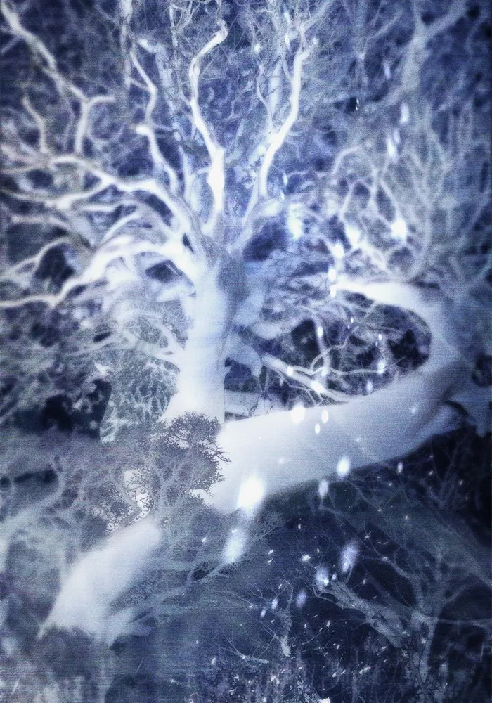 My S-Class Hunters ตอนที่ 92 เจ้านายของเหล่ามังกรคำสาปพิษ ( รูปที่ 74