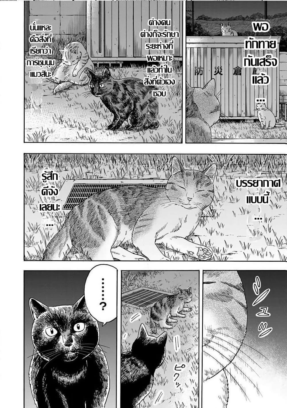 Manga-lc-com อ่านมังงะ อ่านการ์ตูน ออนไลน์ ฟรี Yuzuki Becomes A Cat ตอนที่ 1 2 3 4 5 6 7 8 9 10 11 12 13 14 ฟรี ไม่มีโฆษณา Manga-lc - อ่าน มังงะ อ่าน การ์ตูน ออนไลน์ อ่านมังงะ ฟรี