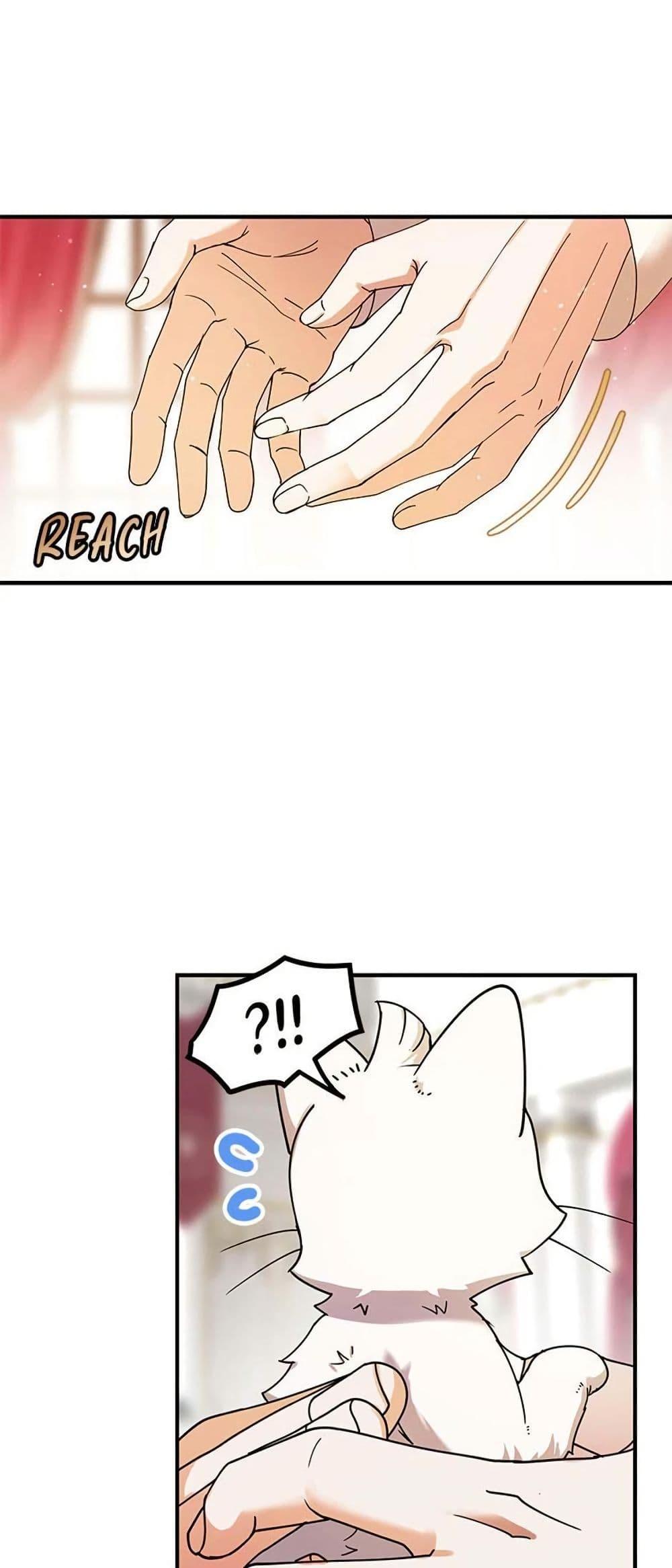 Manga-lc-com อ่านมังงะ อ่านการ์ตูน ออนไลน์ ฟรี I Became the Emperor’s Cat ตอนที่ 1 2 3 4 5 6 7 8 9 10 11 12 13 14 ฟรี ไม่มีโฆษณา Manga-lc - อ่าน มังงะ อ่าน การ์ตูน ออนไลน์ อ่านมังงะ ฟรี