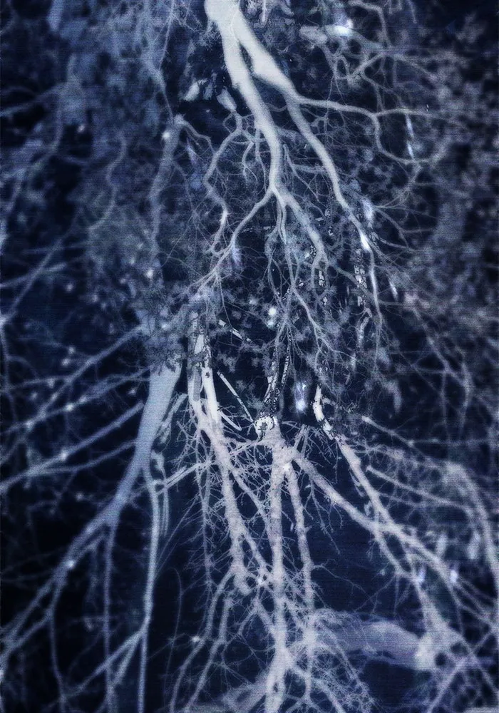 My S-Class Hunters ตอนที่ 92 เจ้านายของเหล่ามังกรคำสาปพิษ ( รูปที่ 79