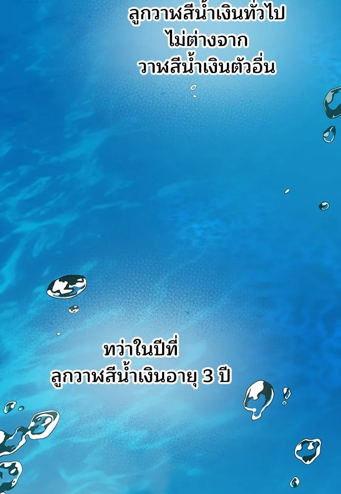 ร้านสะดวกซื้อต่างโลก ตอนที่ 41 รูปที่ 28
