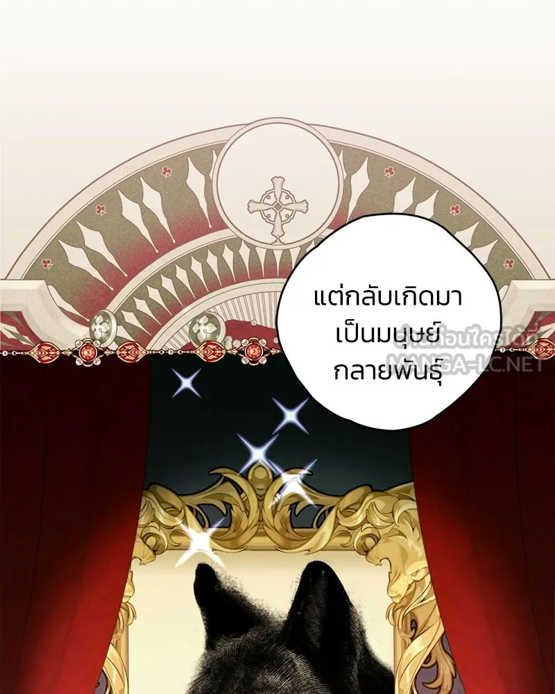 จุ๊บรัก คุณหมาป่า ตอนที่ 5 รูปที่ 15