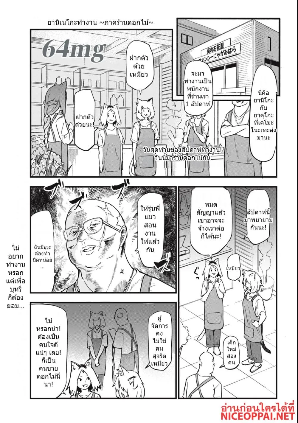 Manga-lc-com อ่านมังงะ อ่านการ์ตูน ออนไลน์ ฟรี Yani Neko ตอนที่ 1 2 3 4 5 6 7 8 9 10 11 12 13 14 ฟรี ไม่มีโฆษณา Manga-lc - อ่าน มังงะ อ่าน การ์ตูน ออนไลน์ อ่านมังงะ ฟรี