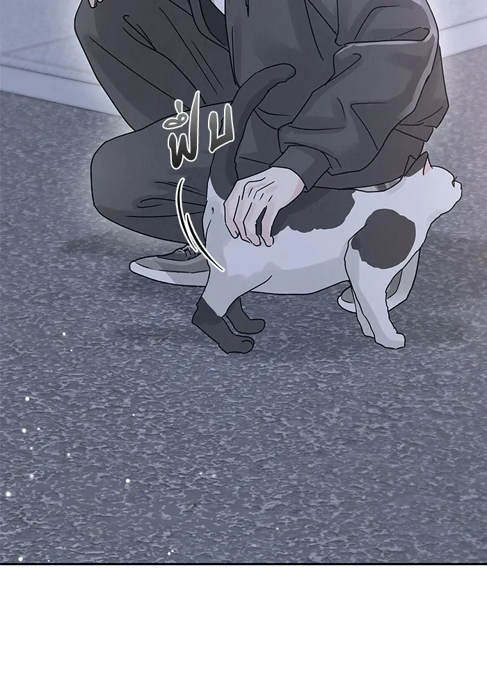 รักหลอกหยอกแฟนเก่า ตอนที่ 8 รูปที่ 5