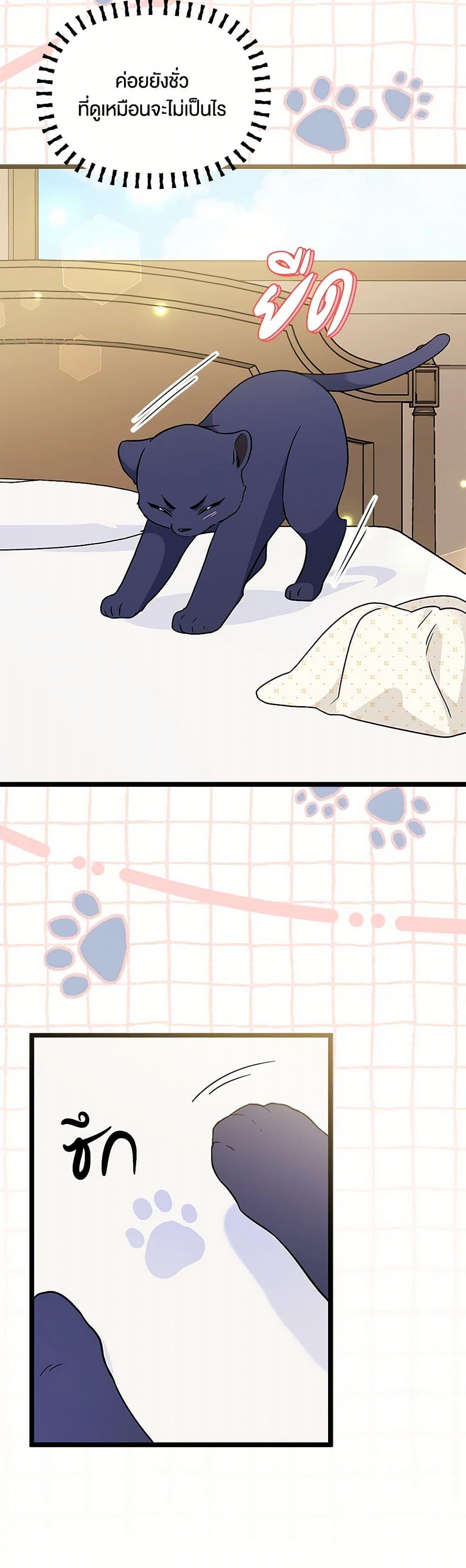 Manga-lc-com อ่านมังงะ อ่านการ์ตูน ออนไลน์ ฟรี The Symbiotic Relationship Between a Panther and a Rabbit ตอนที่ 1 2 3 4 5 6 7 8 9 10 11 12 13 14 ฟรี ไม่มีโฆษณา Manga-lc - อ่าน มังงะ อ่าน การ์ตูน ออนไลน์ อ่านมังงะ ฟรี