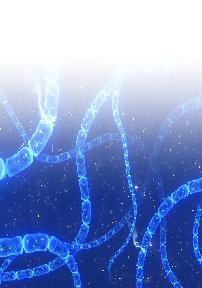 +99 ท่อนไม้พร้อมบวก ตอนที่ 67 รูปที่ 340