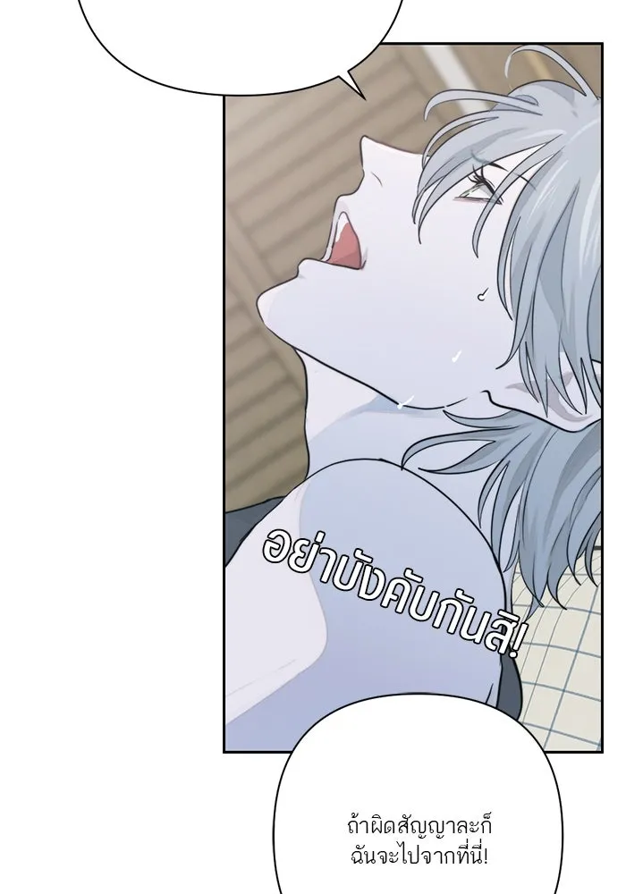 เปย์นี้เพื่อนาย My Sugar Baby ตอนที่ 11 ผมจะไปหาคนอื่น รูปที่ 13