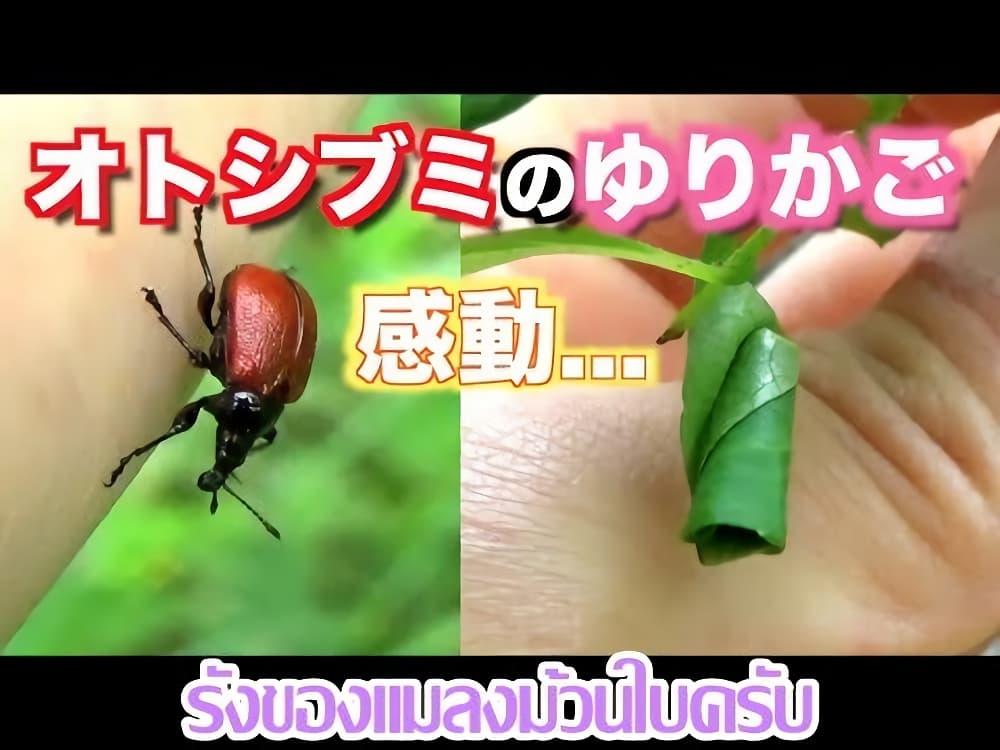 Manga-lc-com อ่านมังงะ อ่านการ์ตูน ออนไลน์ ฟรี Yuzuki Becomes A Cat ตอนที่ 1 2 3 4 5 6 7 8 9 10 11 12 13 14 ฟรี ไม่มีโฆษณา Manga-lc - อ่าน มังงะ อ่าน การ์ตูน ออนไลน์ อ่านมังงะ ฟรี