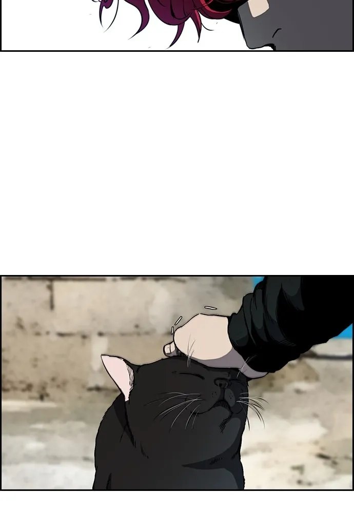 ปั่นสู้ฝันbrWind Breaker ตอนที่ 76 รูปที่ 4