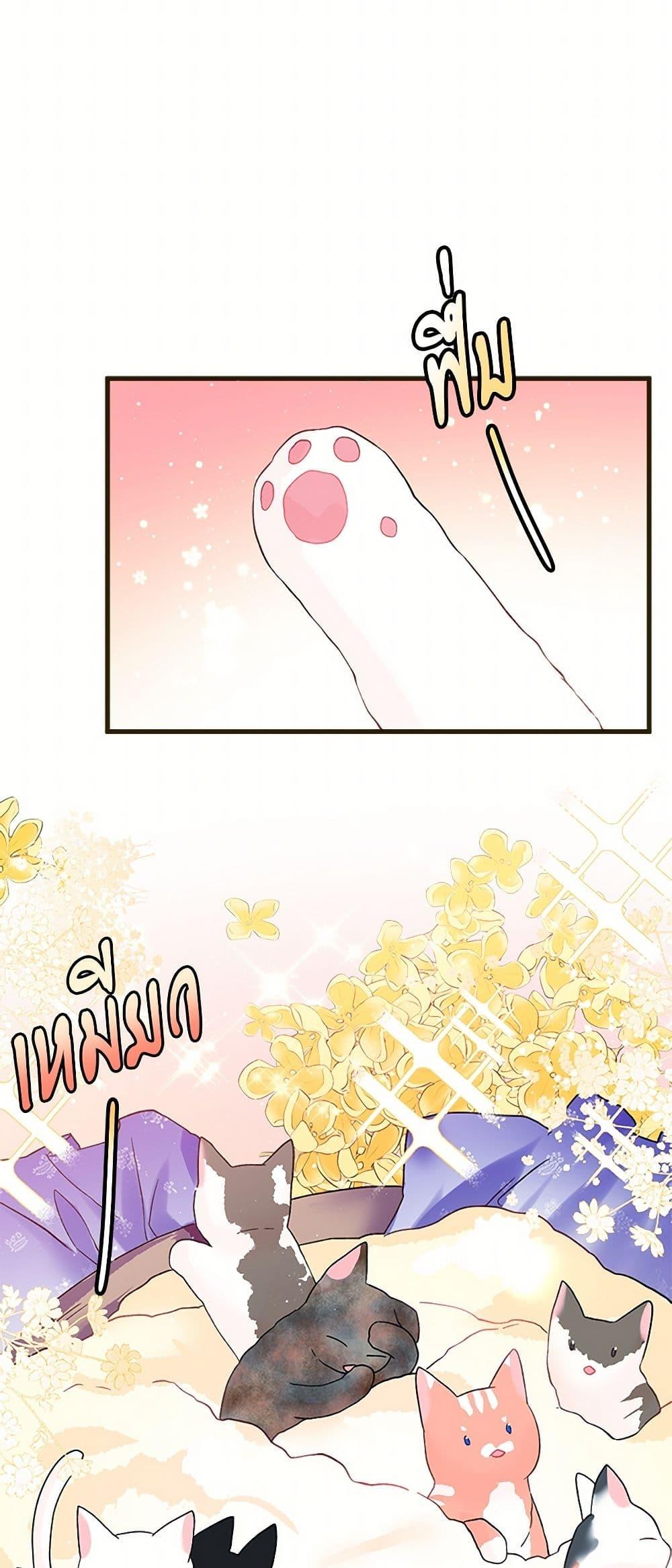 Manga-lc-com อ่านมังงะ อ่านการ์ตูน ออนไลน์ ฟรี The Lady’s Butler ตอนที่ 1 2 3 4 5 6 7 8 9 10 11 12 13 14 ฟรี ไม่มีโฆษณา Manga-lc - อ่าน มังงะ อ่าน การ์ตูน ออนไลน์ อ่านมังงะ ฟรี