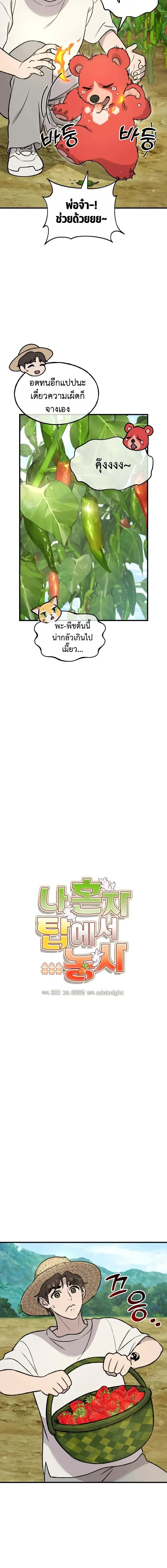 Solo Farming In The Tower ตอนที่ ตอนที่ 107 รูปที่ 4