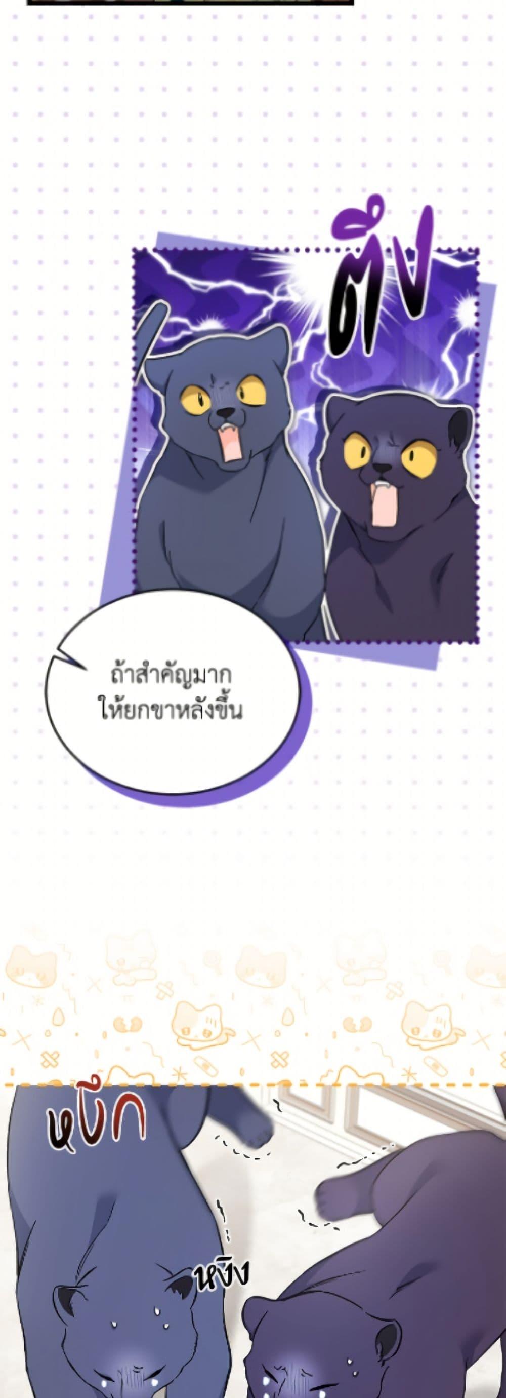 Manga-lc-com อ่านมังงะ อ่านการ์ตูน ออนไลน์ ฟรี The Symbiotic Relationship Between a Panther and a Rabbit ตอนที่ 1 2 3 4 5 6 7 8 9 10 11 12 13 14 ฟรี ไม่มีโฆษณา Manga-lc - อ่าน มังงะ อ่าน การ์ตูน ออนไลน์ อ่านมังงะ ฟรี