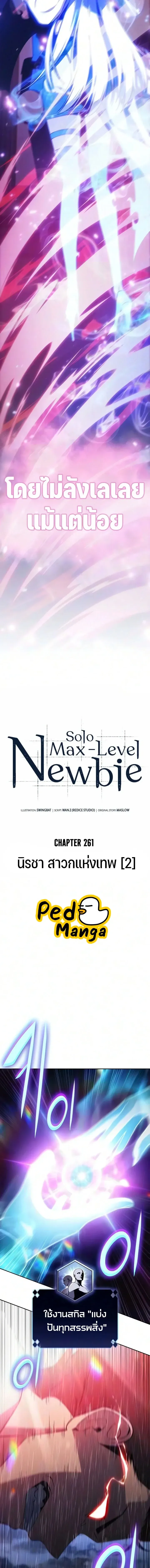 Solo Max-Level Newbie ผ_เล_นหน_าใหม_เลเวลแมกซ_ ตอนที่ ตอนที่ 261 รูปที่ 4