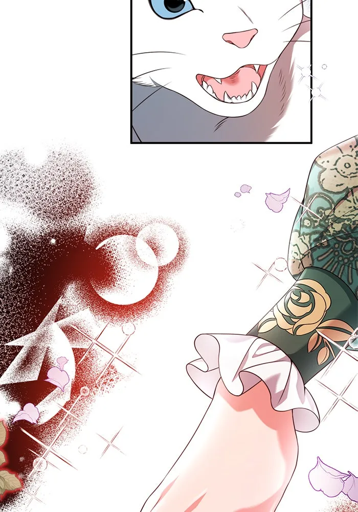 แผนหย่าสามีทรราช ตอนที่ 43 รูปที่ 5