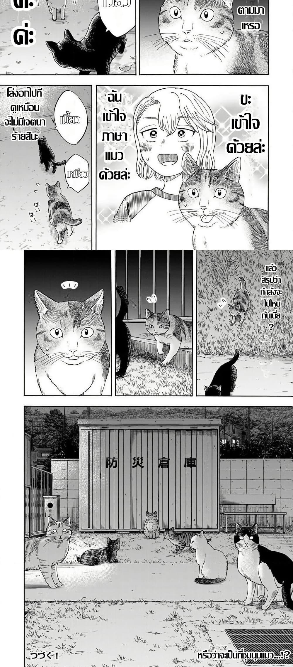 Manga-lc-com อ่านมังงะ อ่านการ์ตูน ออนไลน์ ฟรี Yuzuki Becomes A Cat ตอนที่ 1 2 3 4 5 6 7 8 9 10 11 12 13 14 ฟรี ไม่มีโฆษณา Manga-lc - อ่าน มังงะ อ่าน การ์ตูน ออนไลน์ อ่านมังงะ ฟรี