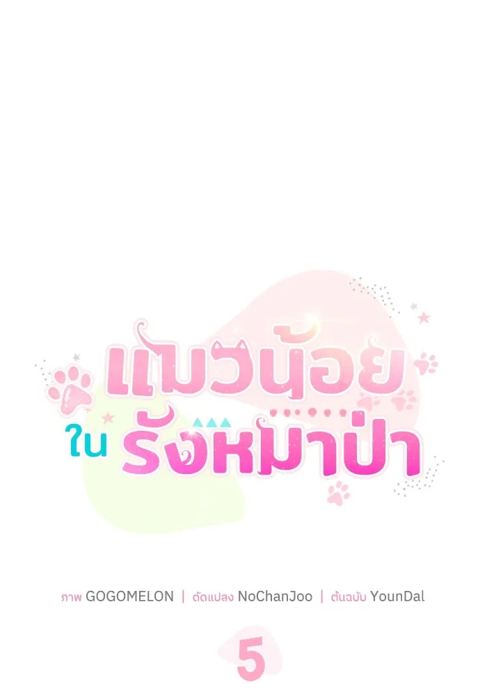 แมวน้อยในรังหมาป่า ตอนที่ 5 รูปที่ 19