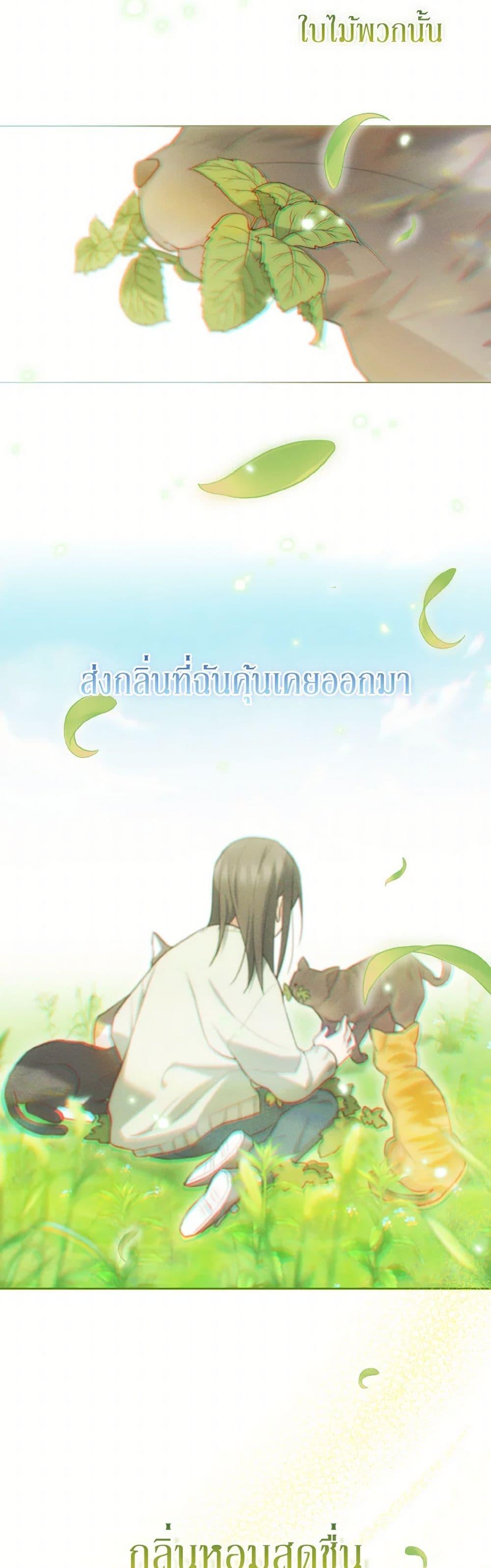 Manga-lc-com อ่านมังงะ อ่านการ์ตูน ออนไลน์ ฟรี I Possessed a Villainess, but I Wanna Raise Cats! ตอนที่ 1 2 3 4 5 6 7 8 9 10 11 12 13 14 ฟรี ไม่มีโฆษณา Manga-lc - อ่าน มังงะ อ่าน การ์ตูน ออนไลน์ อ่านมังงะ ฟรี
