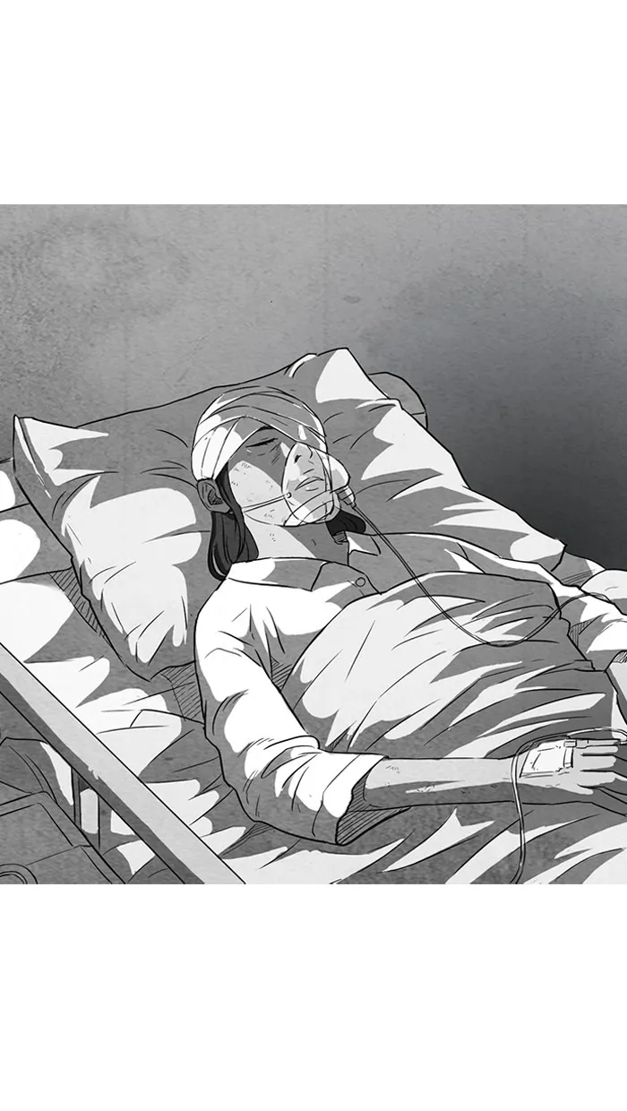 ปั่นสู้ฝันbrWind Breaker ตอนที่ 53 รูปที่ 52