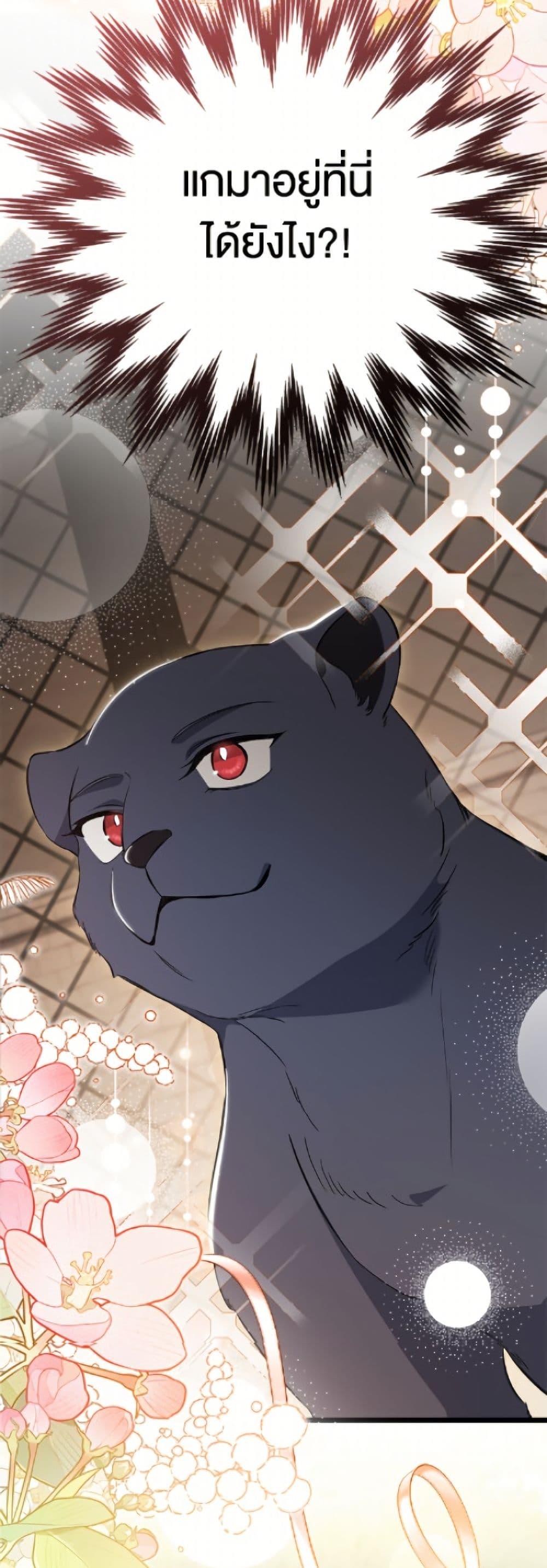 Manga-lc-com อ่านมังงะ อ่านการ์ตูน ออนไลน์ ฟรี The Symbiotic Relationship Between a Panther and a Rabbit ตอนที่ 1 2 3 4 5 6 7 8 9 10 11 12 13 14 ฟรี ไม่มีโฆษณา Manga-lc - อ่าน มังงะ อ่าน การ์ตูน ออนไลน์ อ่านมังงะ ฟรี