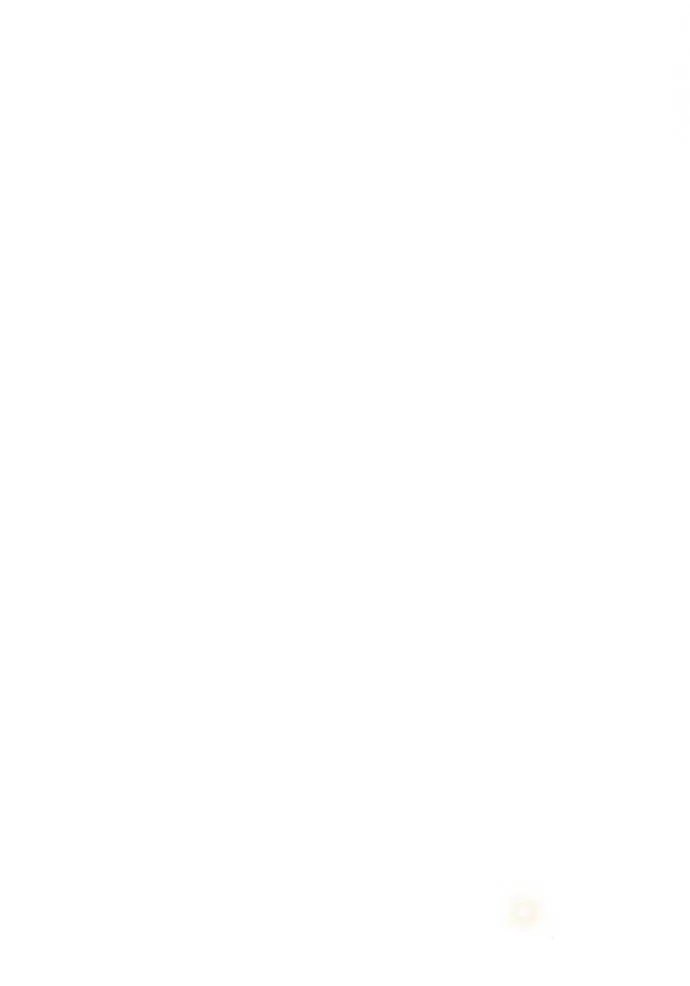 ยามหมาป่าทมิฬ ตอนที่ 28 รูปที่ 124