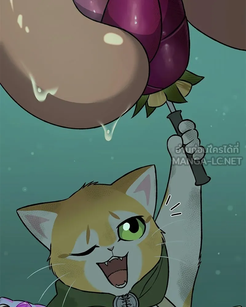 ปลูกผักพิชิตหอคอย ตอนที่ 102 รูปที่ 117