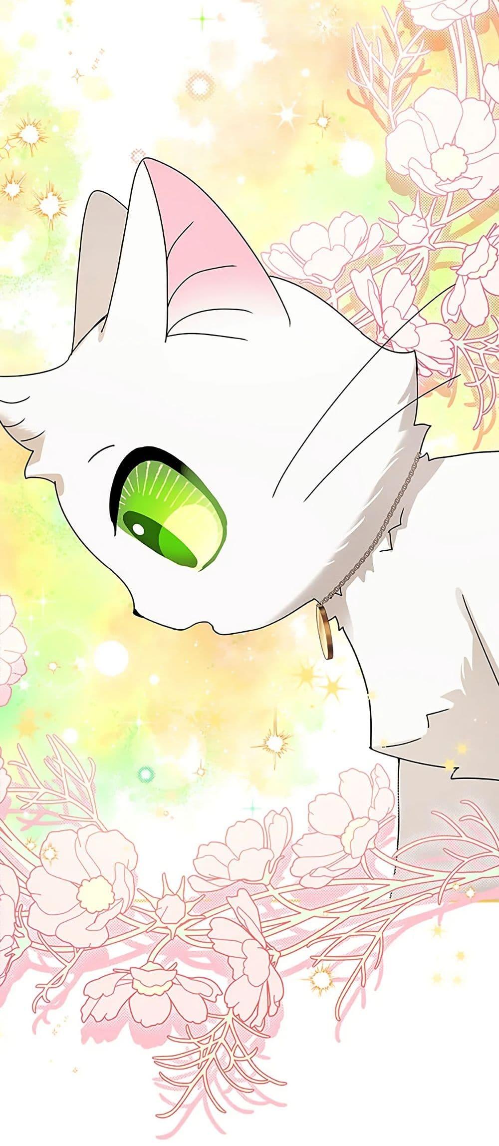 Manga-lc-com อ่านมังงะ อ่านการ์ตูน ออนไลน์ ฟรี I Became the Emperor’s Cat ตอนที่ 1 2 3 4 5 6 7 8 9 10 11 12 13 14 ฟรี ไม่มีโฆษณา Manga-lc - อ่าน มังงะ อ่าน การ์ตูน ออนไลน์ อ่านมังงะ ฟรี