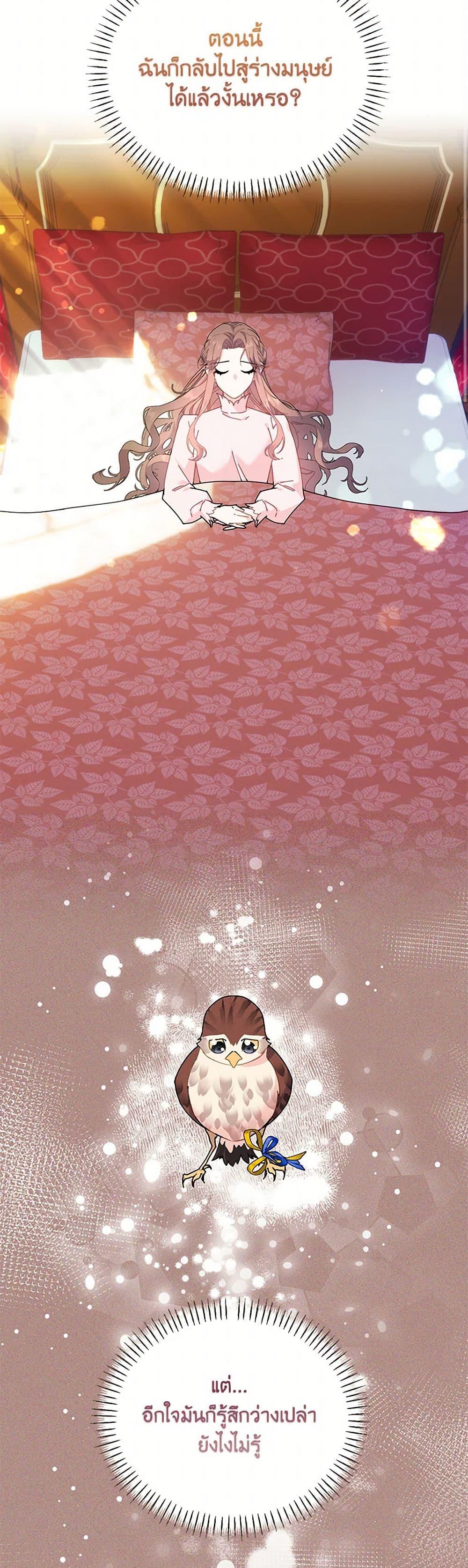 Manga-lc-com อ่านมังงะ อ่านการ์ตูน ออนไลน์ ฟรี The Falcon Princess ตอนที่ 1 2 3 4 5 6 7 8 9 10 11 12 13 14 ฟรี ไม่มีโฆษณา Manga-lc - อ่าน มังงะ อ่าน การ์ตูน ออนไลน์ อ่านมังงะ ฟรี