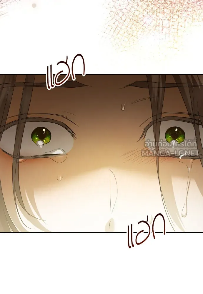 ชิงชีวิตพลิกลิขิตชะตา ตอนที่ 207. ดวงตะวันของข้า(3) รูปที่ 39