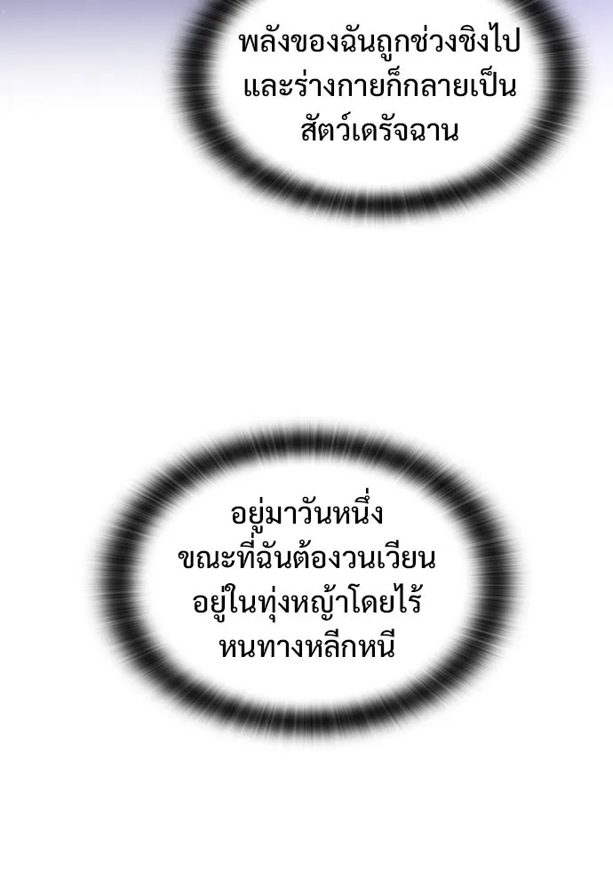 อัศวินวันเดียว ตอนที่ 33 รูปที่ 113