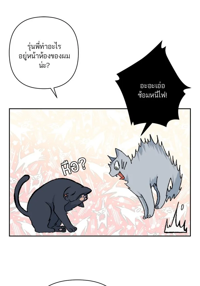 เปย์นี้เพื่อนาย My Sugar Baby ตอนที่ 58 ฉันจะเอานายให้ยับ รูปที่ 47