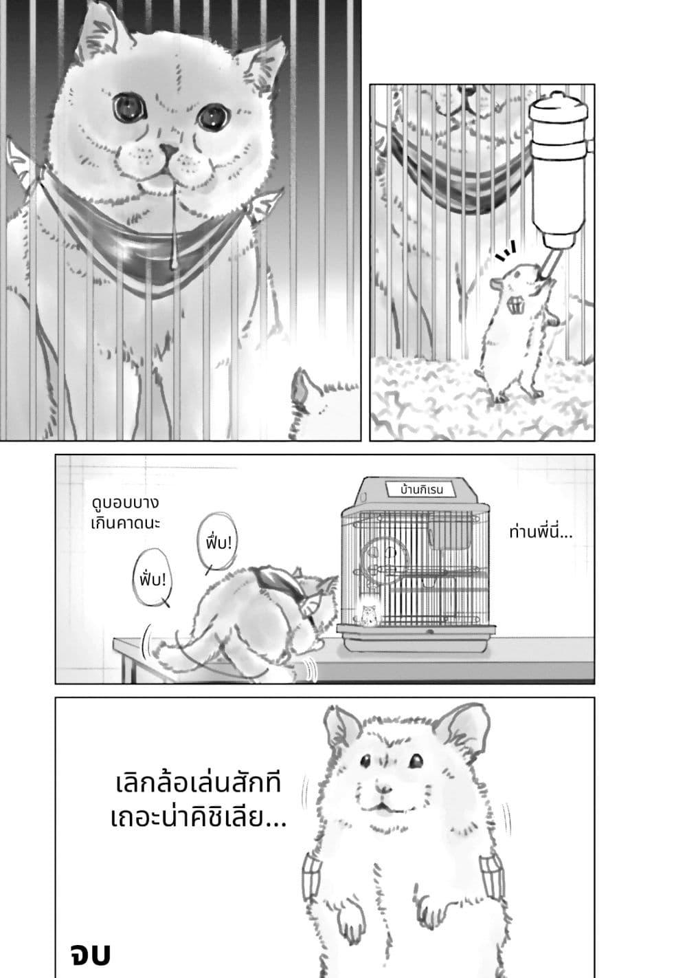 Manga-lc-com อ่านมังงะ อ่านการ์ตูน ออนไลน์ ฟรี Char to Amuro to Oi to Yasuragi no Chihei e ตอนที่ 1 2 3 4 5 6 7 8 9 10 11 12 13 14 ฟรี ไม่มีโฆษณา Manga-lc - อ่าน มังงะ อ่าน การ์ตูน ออนไลน์ อ่านมังงะ ฟรี