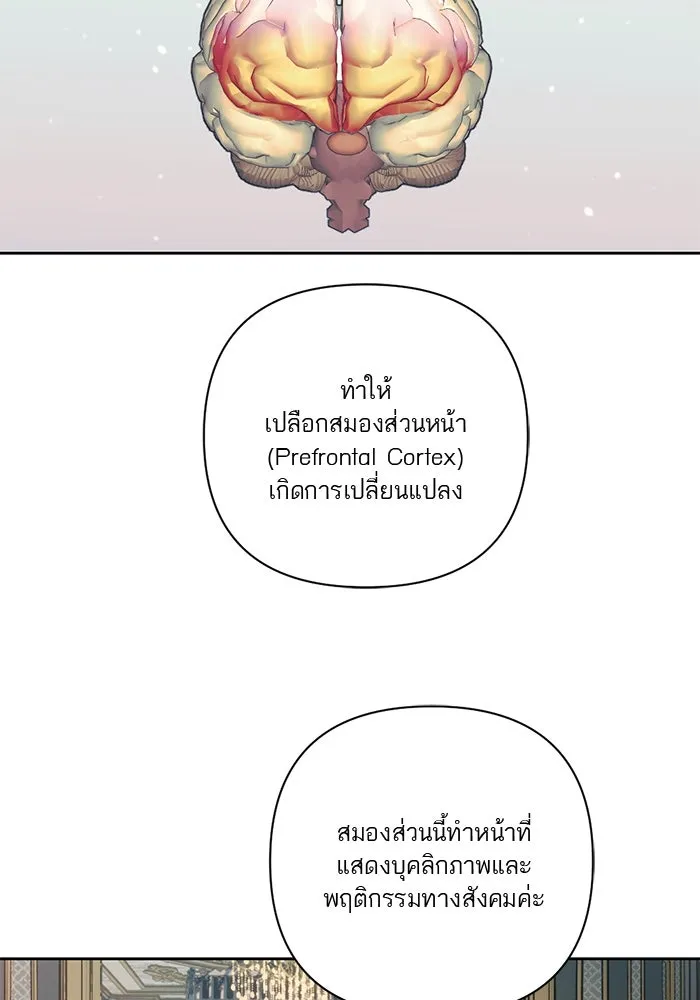 เปย์นี้เพื่อนาย My Sugar Baby ตอนที่ 62 เป้าหมายใหม่ของฮอลล์ รูปที่ 5