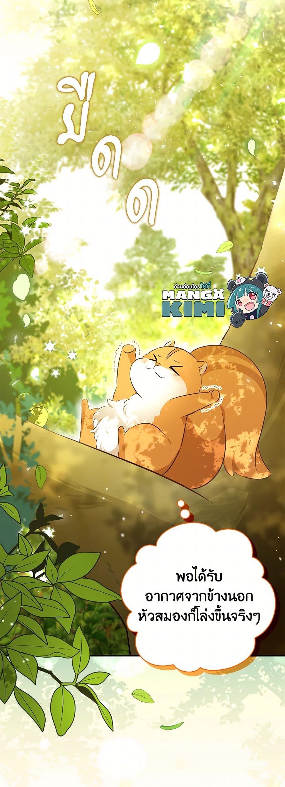 Manga-lc-com อ่านมังงะ อ่านการ์ตูน ออนไลน์ ฟรี Baby Squirrel Is Good at Everything ตอนที่ 1 2 3 4 5 6 7 8 9 10 11 12 13 14 ฟรี ไม่มีโฆษณา Manga-lc - อ่าน มังงะ อ่าน การ์ตูน ออนไลน์ อ่านมังงะ ฟรี